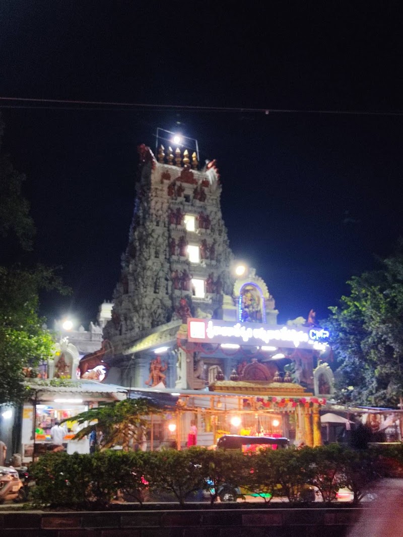 Sri Raja Rajeswari Ammavari Devasthanam - Sri Raja Rajeswari Ammavari Devasthanam CXC6+GHH, Postal Colony, Vedayapalem, Nellore, Andhra Pradesh 524004, India