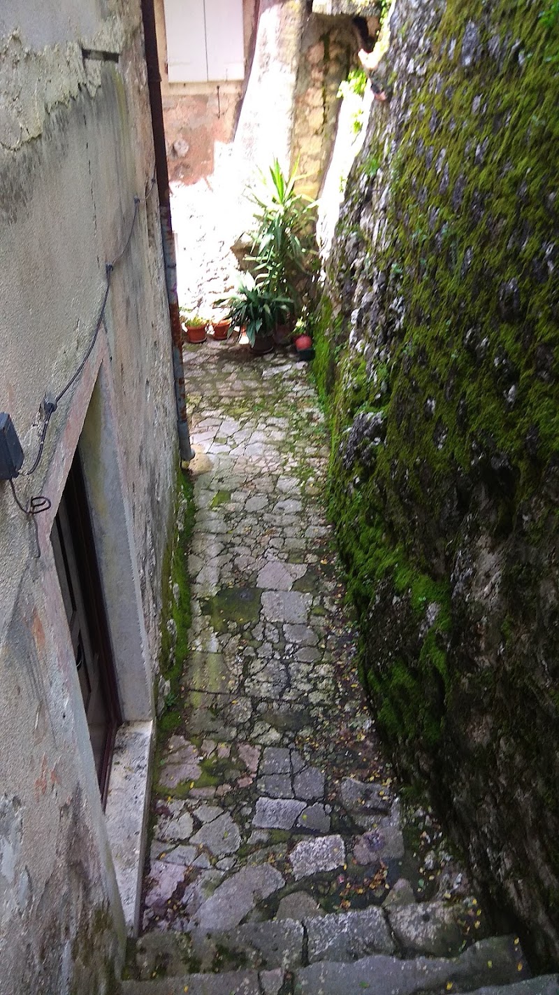 Apartment Leo - Apartment Leo Stari Grad 375, Kotor 85330, Montenegro