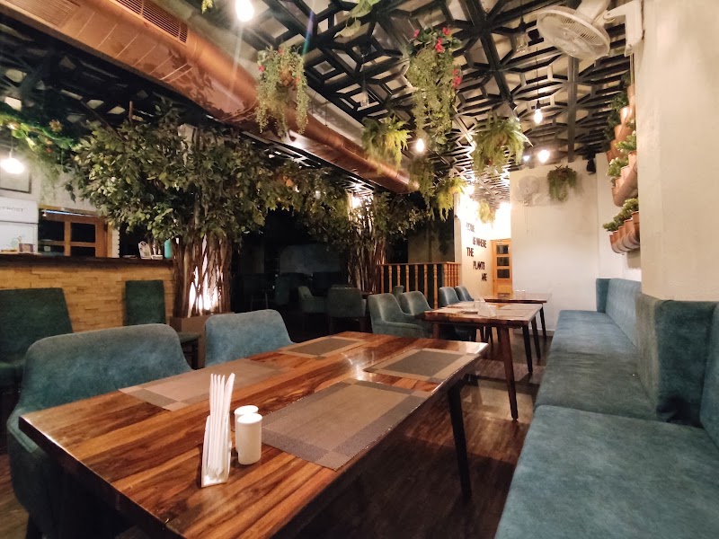 The Plant Story Restaurant - The Plant Story Restaurant 5th, The Raj, Upper, Chopasani Rd, above ICICI Bank, near 5th B Road, Agarwal Ki Bagechi, Pratap Nagar, Jodhpur, Rajasthan 342003, India