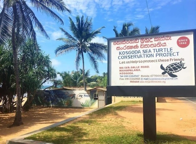 Kosgoda Sea Turtle Conservation Project - Kosgoda Sea Turtle Conservation Project Mahapalena, No. 13/A Galle Rd, Kosgoda 80570, Sri Lanka