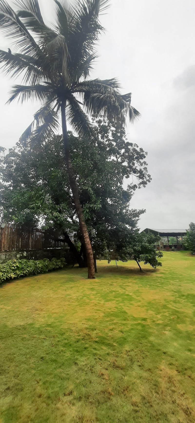 Prakash Farm House - Best Farmhouse Nearby Mumbai - Prakash Farm House - Best Farmhouse Nearby Mumbai, Damodar Mhatre Estate, Kaman - Bhiwandi Road, Vasai, Kaman, Vasai-Virar, Maharashtra 421302, India