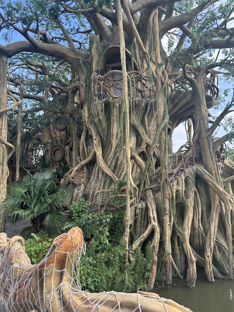 Nantong Sendi Tribe Treehouse Hotel - Nantong Sendi Tribe Treehouse Hotel China, Jiang Su Sheng, Nan Tong Shi, Gang Zha Qu, 通刘公路299号 邮政编码: 226013