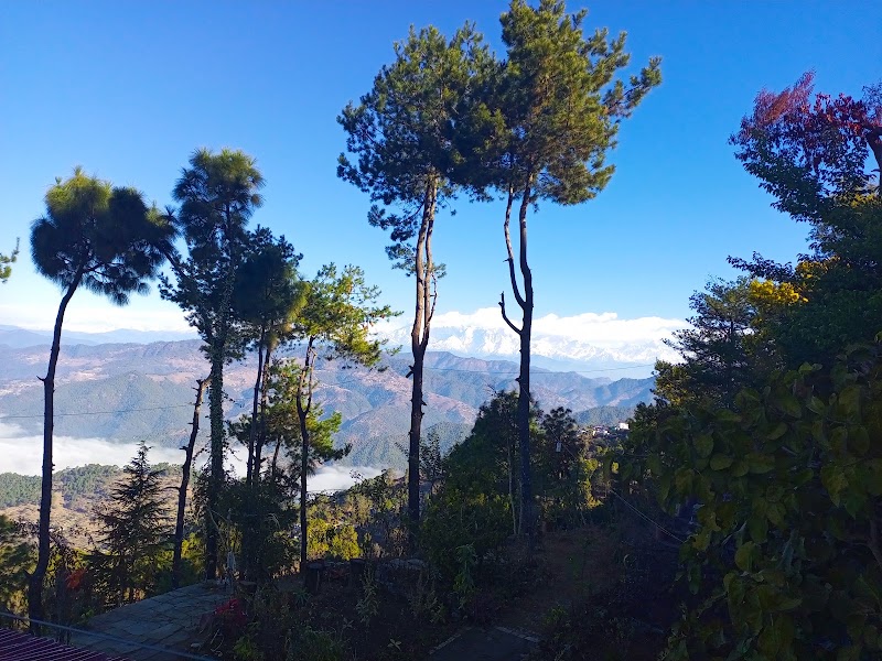 गोविन्दा होमस्टे - Govinda Homestay - गोविन्दा होमस्टे - Govinda Homestay Gadholi Rd., कसारदेवी, Matena, Uttarakhand 263601, India