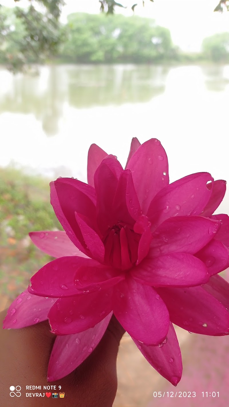 Hanai ban - Hanai ban, J4WC+G7M, Hanaiband, Chhattisgarh 491888, India