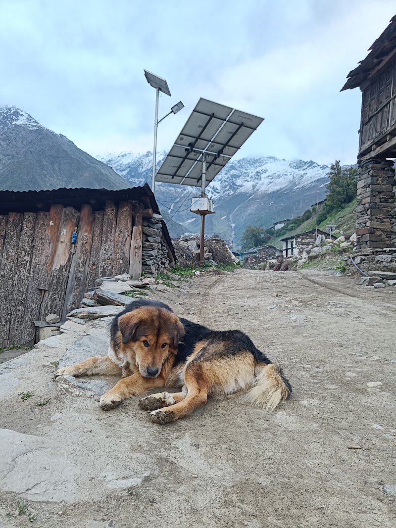 Dugtu - Dugtu, Uttarakhand 262545, India