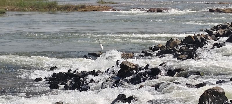 Yudhistir setu - Yudhistir setu, QFVQ+GQ, Tulandi, Odisha 767065, India