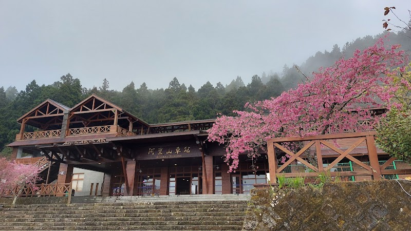 Alishan National Forest Recreation Area - Alishan National Forest Recreation Area No. 59號, 中正村 東, Alishan Township, Chiayi County, Taiwan 605