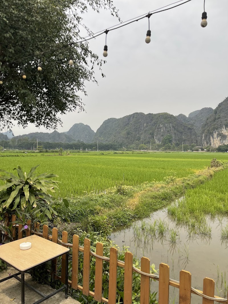 TAM COC VILLAGE BUNGALOW - TAM COC VILLAGE BUNGALOW, Đội 1 Văn Lâm, Nam Hoa Lư, Ninh Bình 430000, Vietnam
