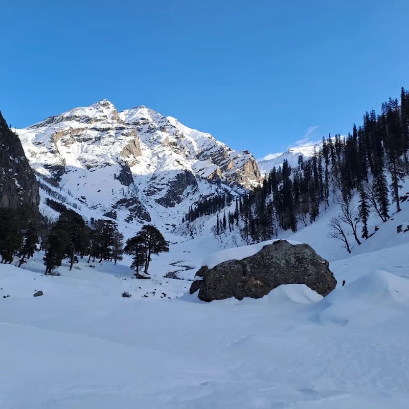 Wander sky Travels - Wander sky Travels, near white stone resort, Prini, Manali, Himachal Pradesh 175143, India