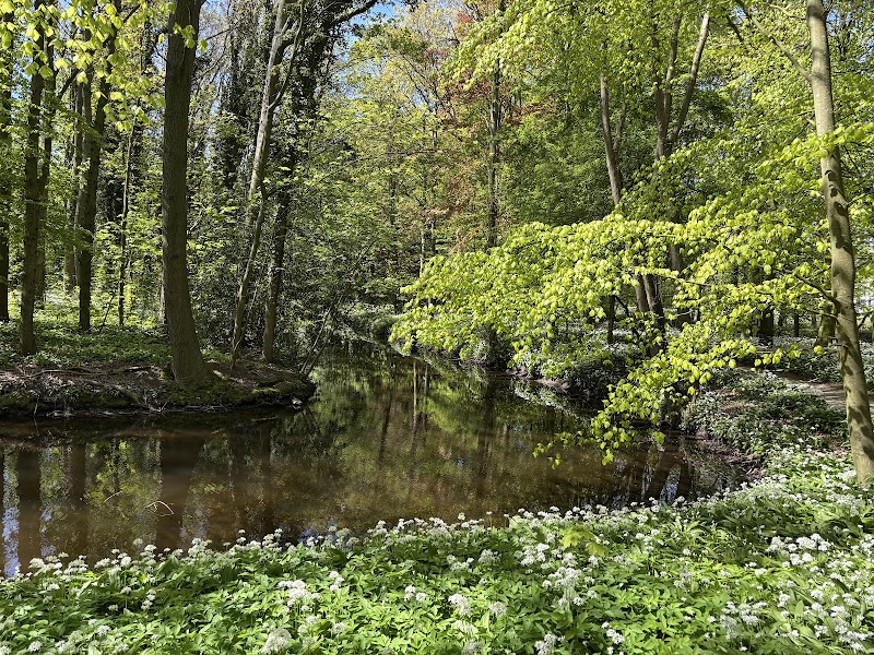 Polderpark Cronesteyn - Polderpark Cronesteyn, Polderpad 8, 2322 LB Leiden, Netherlands