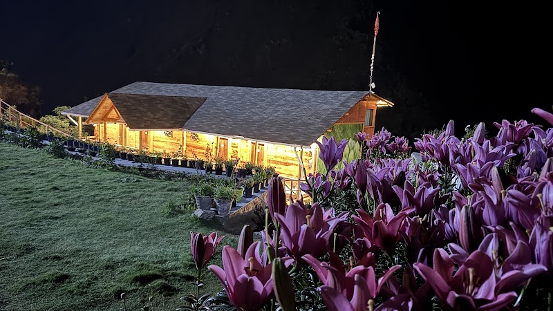 Blue Poppy Premier - Blue Poppy Premier Joshimath, Uttarakhand 246443, India