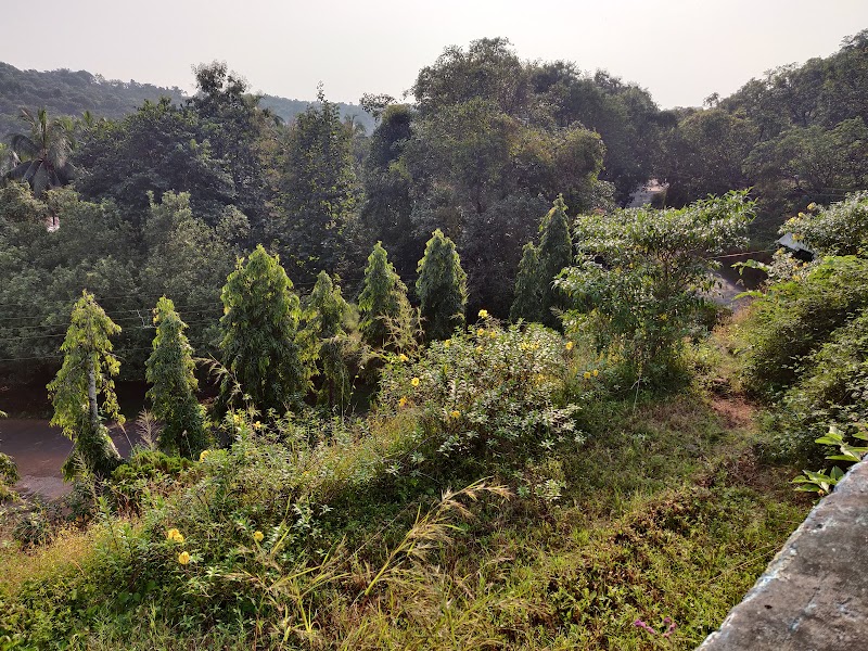 Hedavi - Hedavi, Maharashtra, India