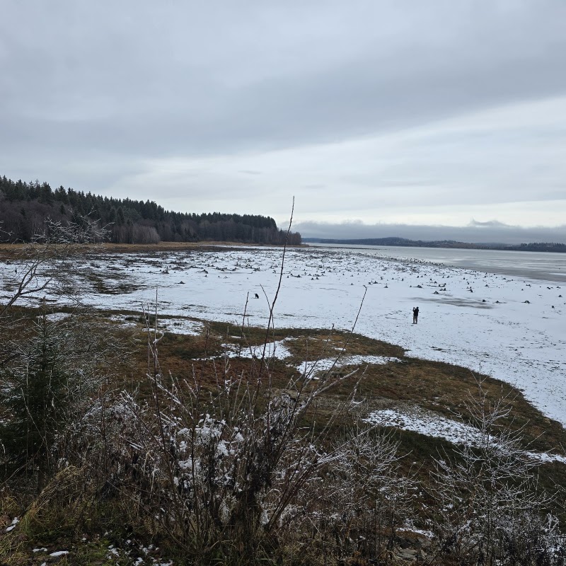 Lipno