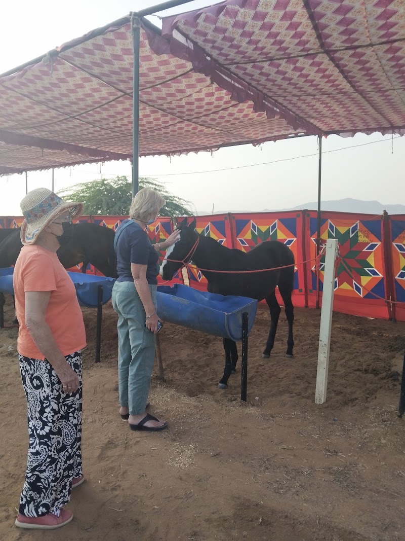 Pushkar Desert Safari - Pushkar Desert Safari, Brahma Mandir Rd, behind kalapeshwar mandir, Pushkar, Rajasthan 305022, India