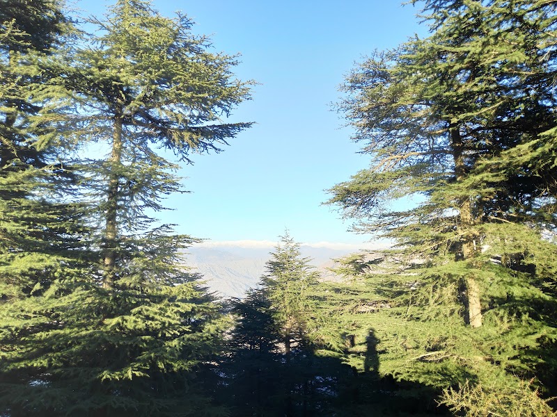 Hotel Nishal Homestay - Hotel Nishal Homestay, Teh, Sunni, Durgapur, Naldehra, Himachal Pradesh 171007, India