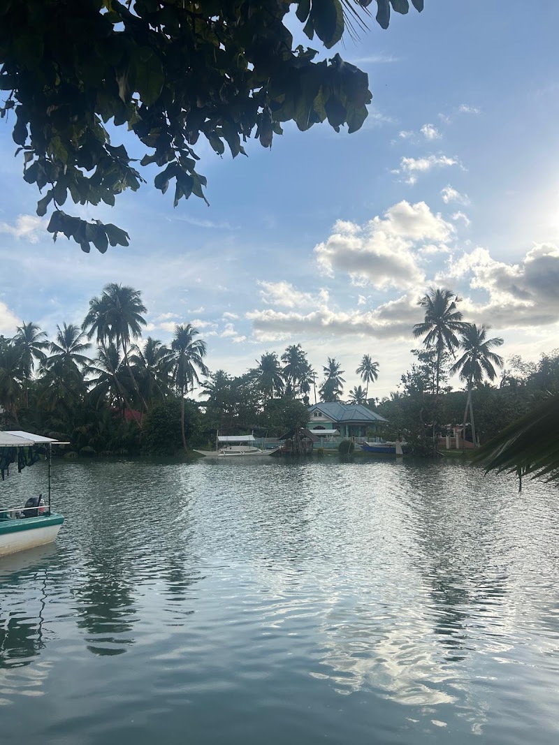 Bohol Nature Tours - BNT Travel and Tours Agency - Bohol Nature Tours - BNT Travel and Tours Agency, Alaia Studios Bldg, Panglao Island Circumferential Rd, Panglao, Bohol, Philippines
