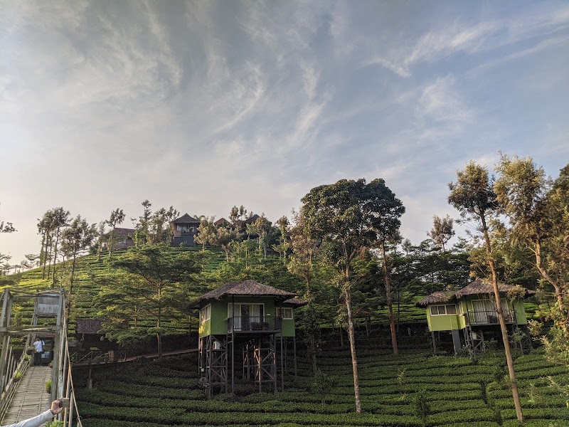 Wild Planet Jungle Resort - Wild Planet Jungle Resort Between Wayanad Hills & Mudumalai Tiger Reserve, Devala, Kerala 679333, India