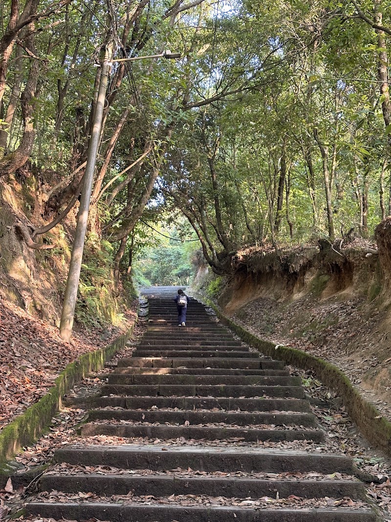 One thousand steps