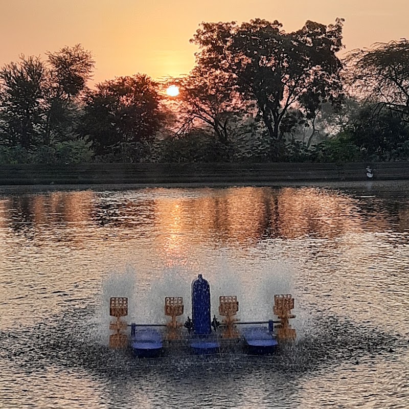 S & S Fish Farm - S & S Fish Farm Selud, Chhattisgarh 491107, India