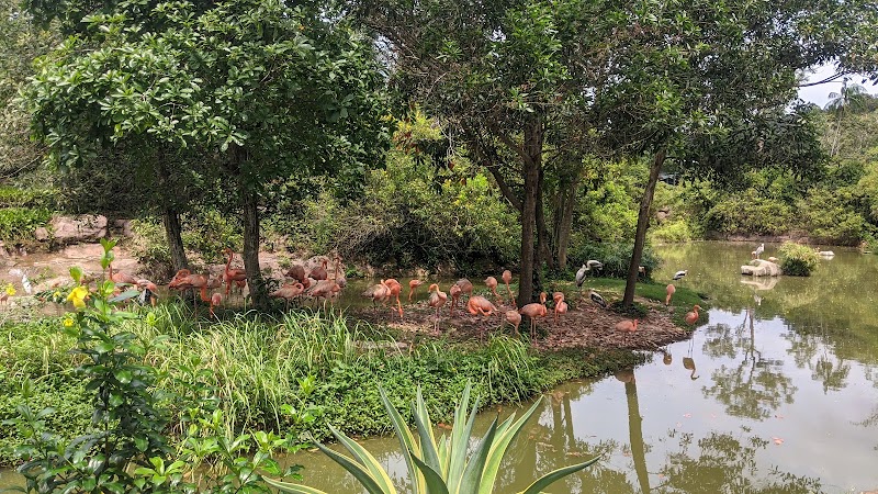 Phu quoc, kien giang - Phu quoc, kien giang, Phu Quoc, An Giang 92500, Vietnam