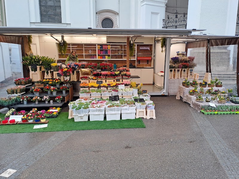 Blumen Sappi - Blumen Sappi Grünmarkt vor der Kirche, Universitätspl., 5020 Salzburg, Austria