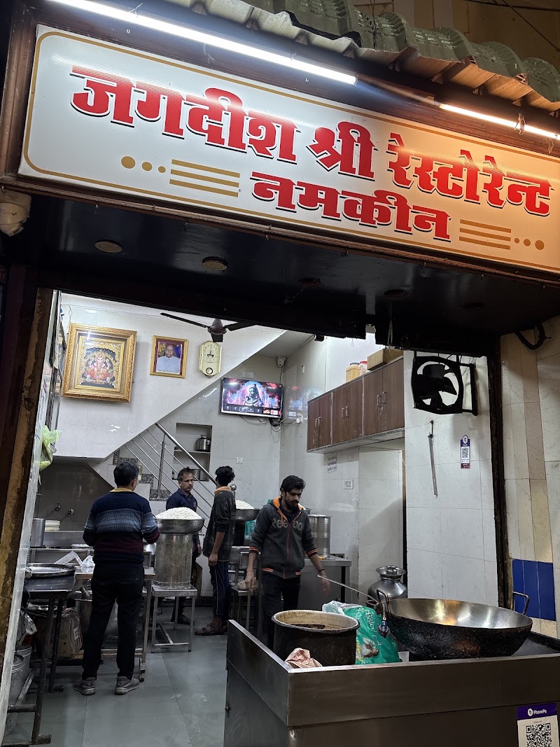 Jagdish Shree Restaurant - Namkeen