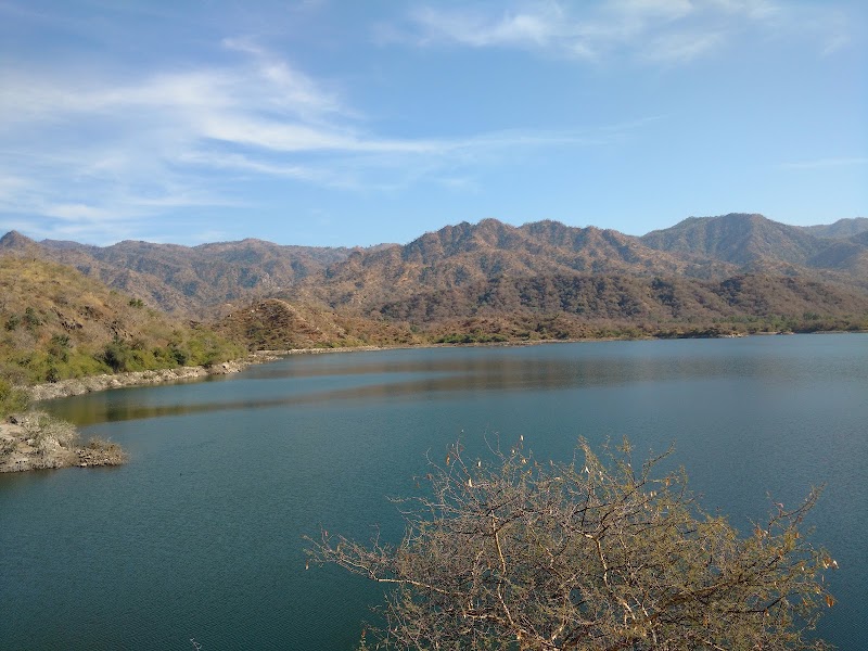 Ranakpur Dam
