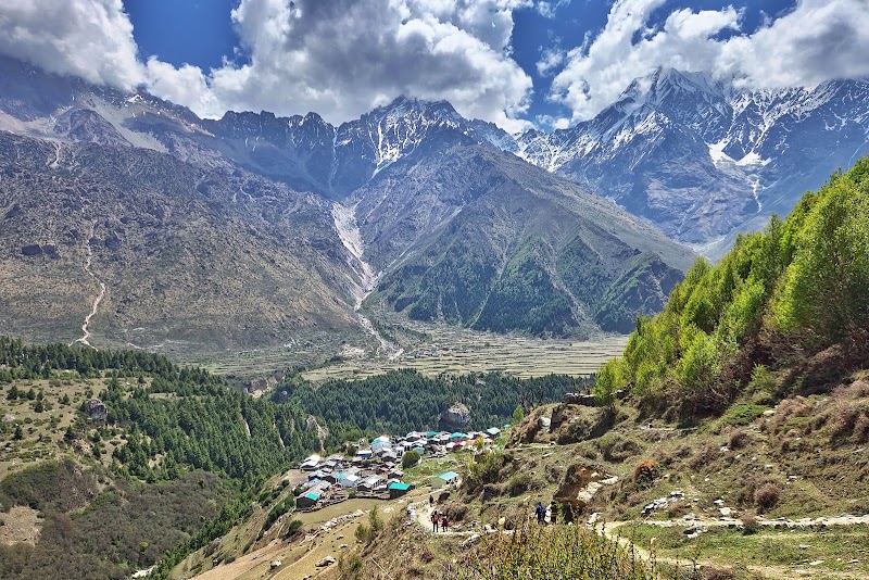 panchachuli base camp - panchachuli base camp, 6GRG+R3C, Sobala R.F., Uttarakhand 262545, India