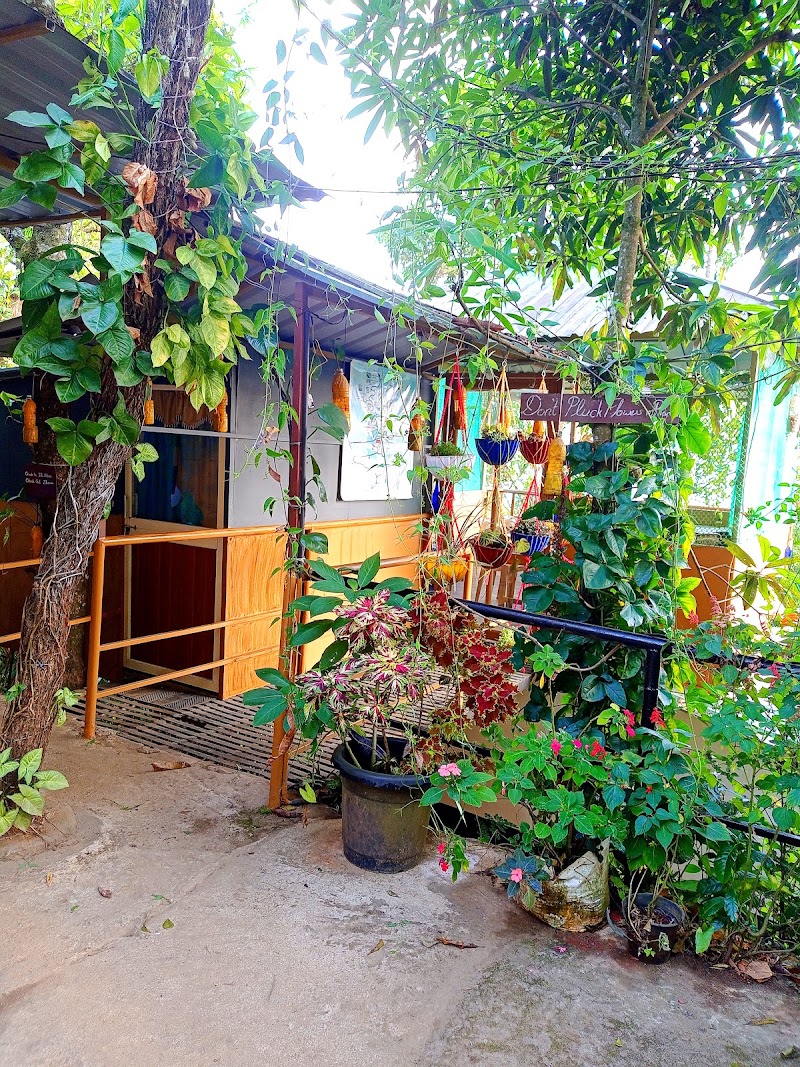 Munnar Plantation Villa. Tea Drops . - Munnar Plantation Villa. Tea Drops . Pipe Line View Point, Pallivasal, Kerala 685565, India