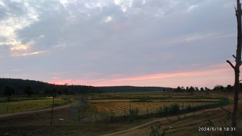 MULLEGUDA PIG FARM - MULLEGUDA PIG FARM, J6PQ+PQ, Mullegura, Chhattisgarh 491227, India