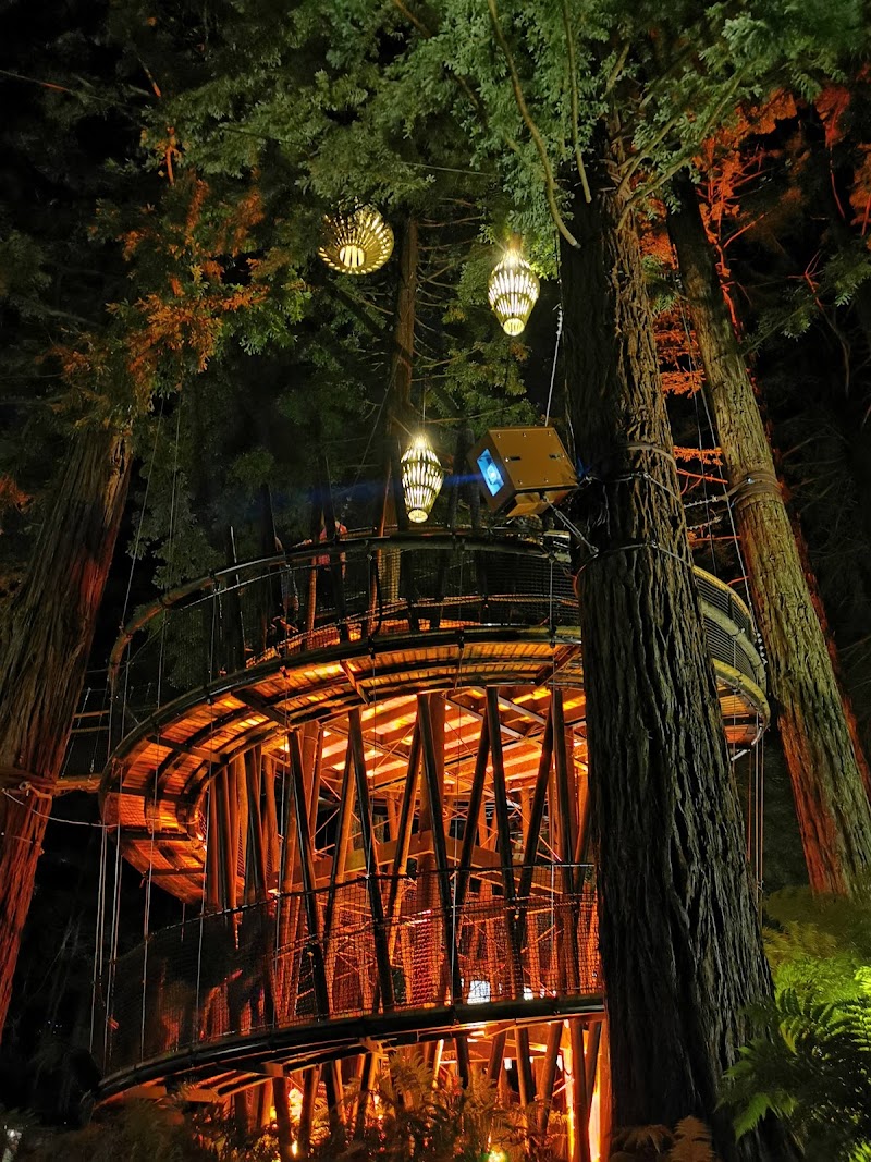 Redwoods – Whakarewarewa Forest - Redwoods – Whakarewarewa Forest Whakarewarewa, Rotorua 3074, New Zealand