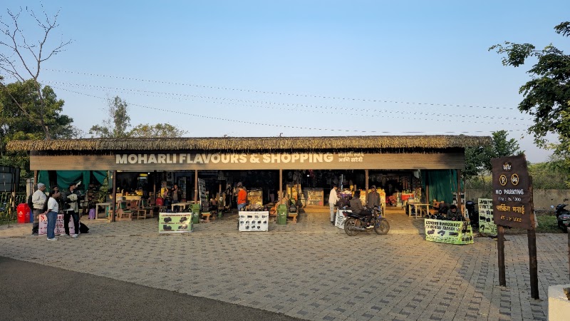 Tadoba Moharli Gate (Core Zone) - Tadoba Moharli Gate (Core Zone) 58RM+QXP, Moharli, Maharashtra 442404, India
