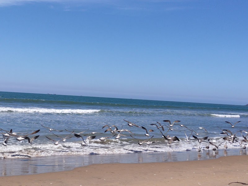 Rajbag Beach - Rajbag Beach, Goa, India