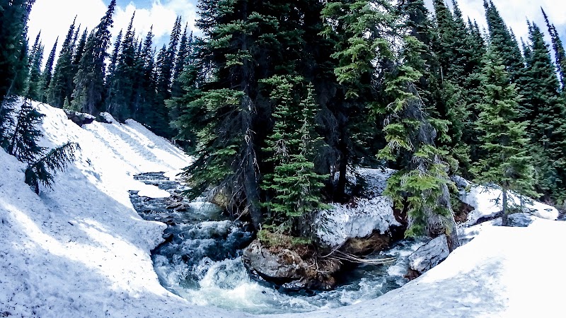 Helm Creek Camping - Helm Creek Camping Unnamed Road, 0A0, Whistler, BC V8E 0C2, Canada