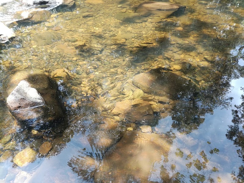 Kekuna Ella Falls - Lankagama - Kekuna Ella Falls - Lankagama 9FCH+9R6, Sri Lanka