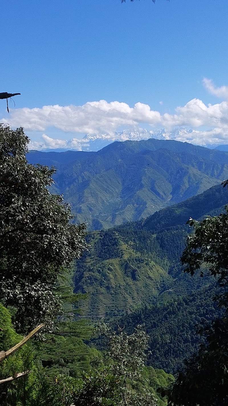 Landour Language School - Landour Language School, 41/2, Cantt, Landour, Mussoorie, Uttarakhand 248179, India