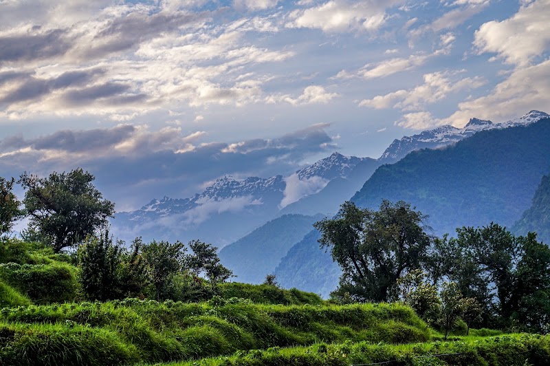 KEDARAYATIH RESORT - Best Hotels in Phata, Hotel Near Phata Helipad Kedarnath Uttarakhand - KEDARAYATIH RESORT - Best Hotels in Phata, Hotel Near Phata Helipad Kedarnath Uttarakhand, Jamu Village Road, Phata, Uttarakhand 246471, India