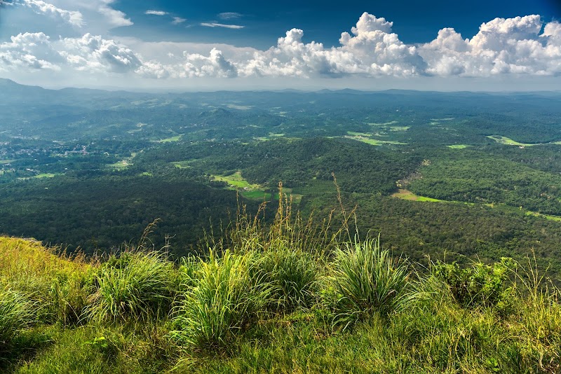 Nilgiri Mountains - Nilgiri Mountains Nilgiri Mountains, Jagathala, Tamil Nadu 643202