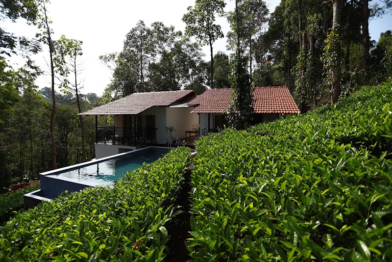 Tealawn Pool Villa Munnar