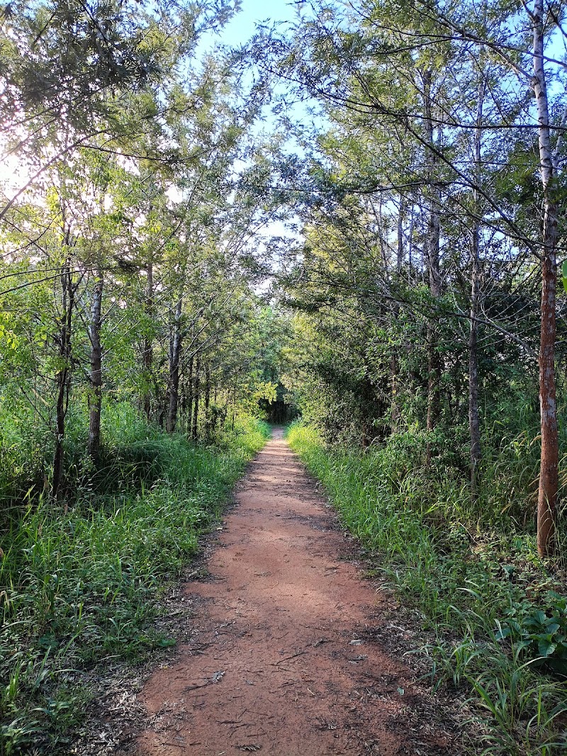 Avalahalli Forest - Avalahalli Forest 4GJW+7J6, Jarakbandekaval, Karnataka 560119, India