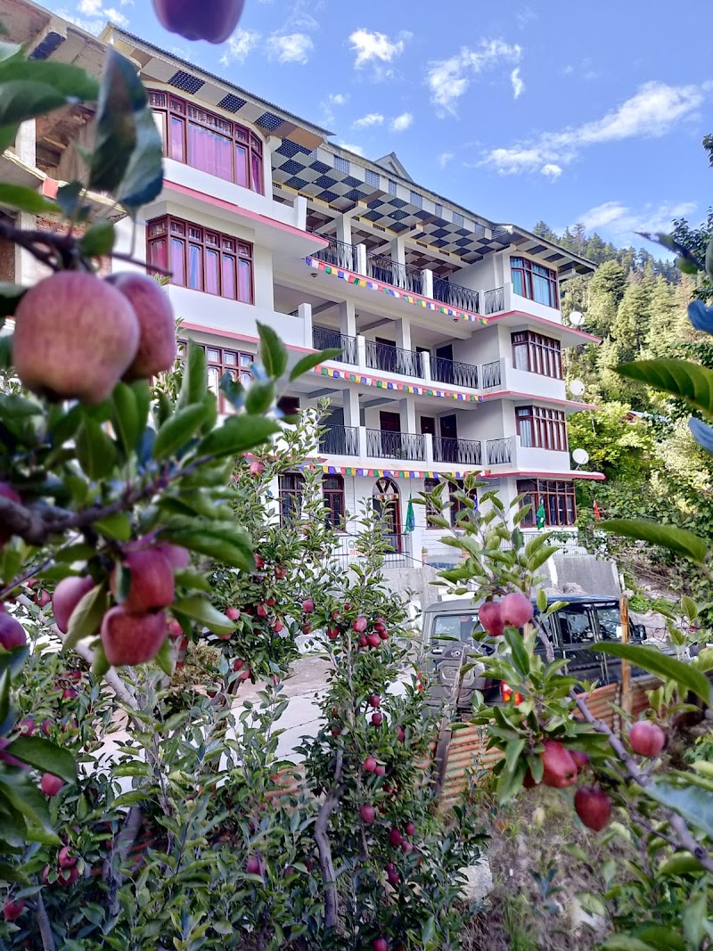 Hotel KINNAUR - Hotel KINNAUR Hotel Kinnaur, Kalpa, Himachal Pradesh 172108, India