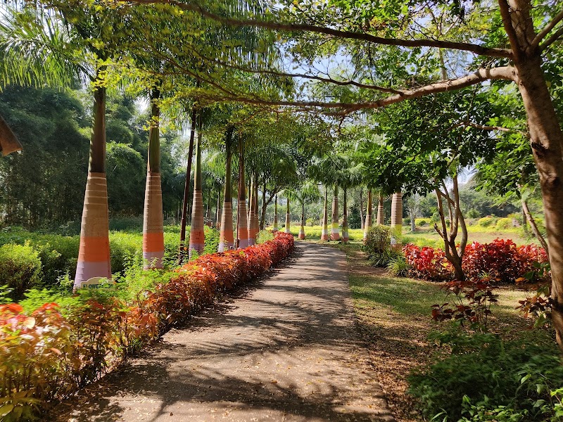 Padmapuram Gardens - Padmapuram Gardens, Padmapuram village, Arakuvalley, ITDA Paderu, 8VPH+MX6, Kantabamsuguda, Andhra Pradesh 531149, India