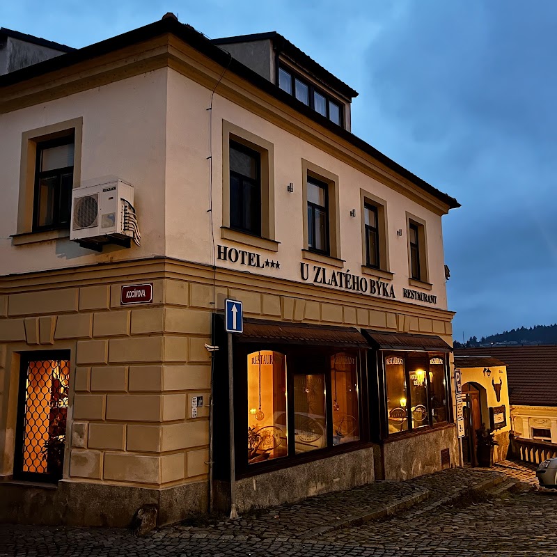 Restaurant U Zlatého býka - Restaurant U Zlatého býka 6, Píseckého 135, 397 01 Písek-Písek 1, Czechia