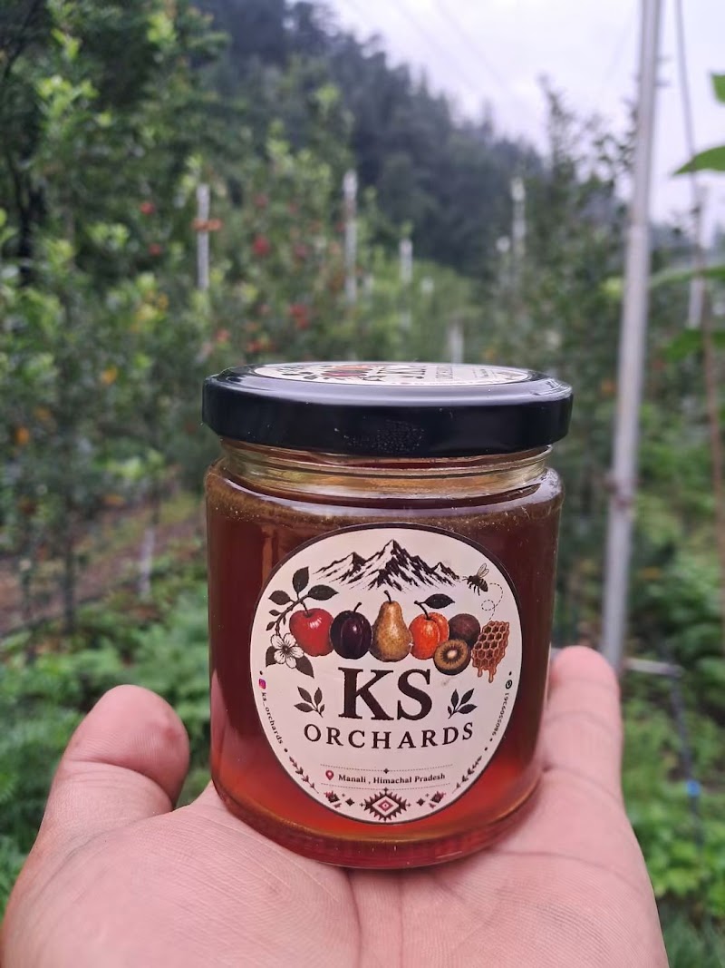 K S Orchards - K S Orchards, Sajla Bihal, Manali, Himachal Pradesh 175143, India