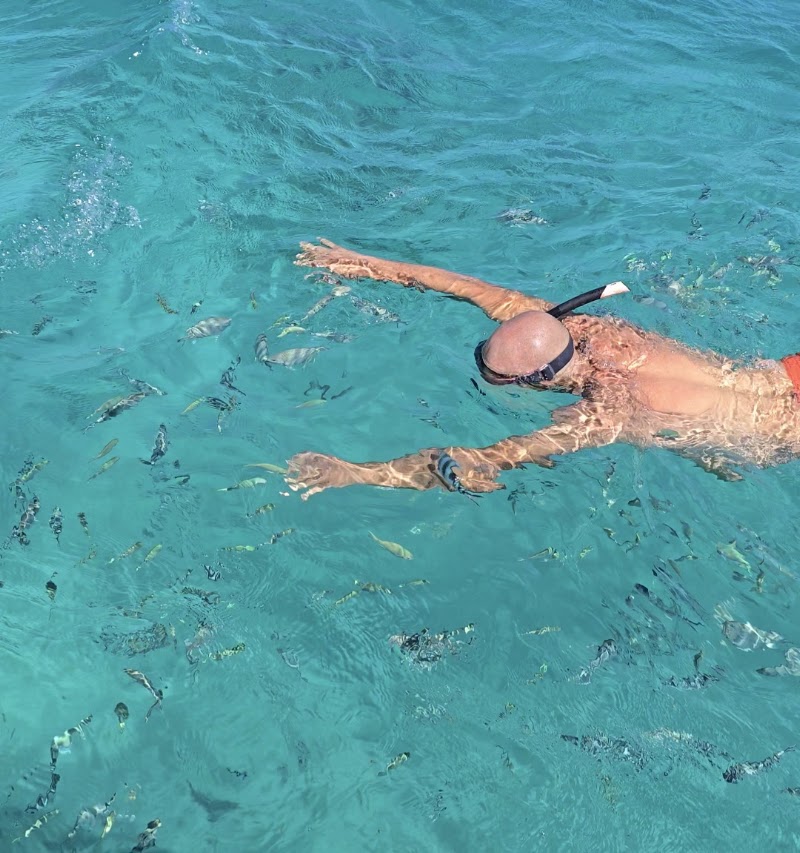 Excursion Ile aux Cerfs | Catamaran Tour | Five Islands Speed boat Tour | BEST Mauritius - Excursion Ile aux Cerfs | Catamaran Tour | Five Islands Speed boat Tour | BEST Mauritius 80 Millionaire Rd, La Pelouse MU, Trou d'Eau Douce 42207, Mauritius