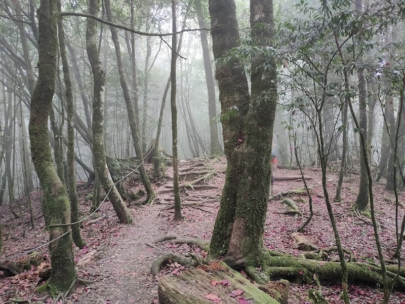 稍來山 - 稍來山, 424, Taiwan, 臺中市和平區稍來山