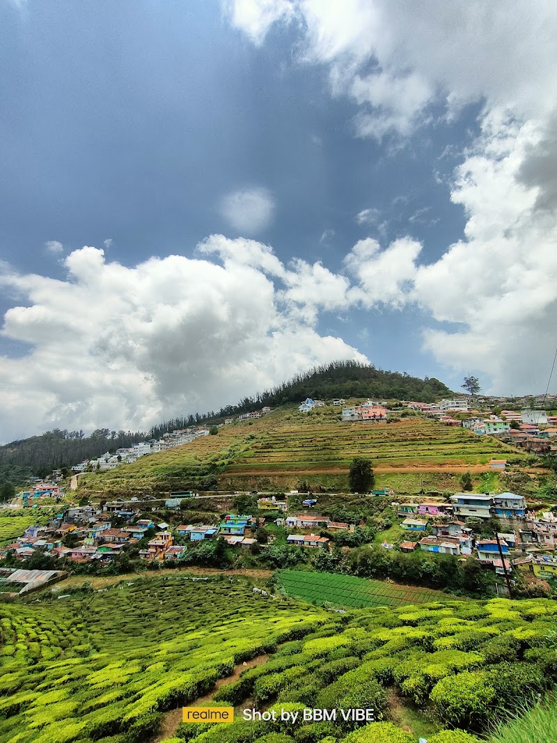 Nilgiri Mountain Railways - Nilgiri Mountain Railways 8QHV+FV9, NH 181, Glendale, Huligal, Tamil Nadu 643102, India