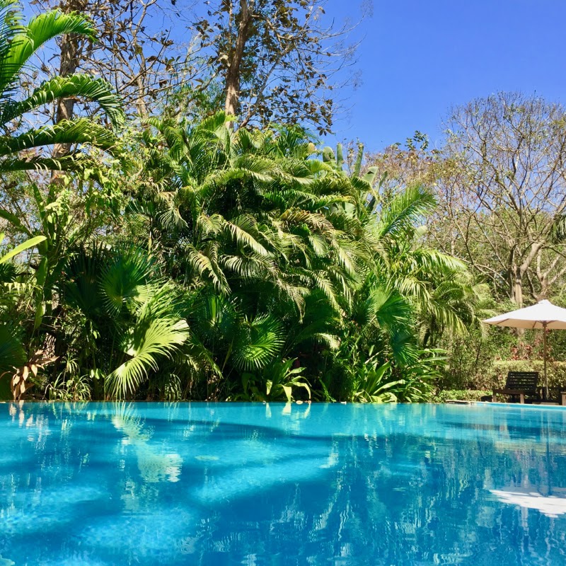 The Villa Goa Luxury Villa Rental in Goa - The Villa Goa Luxury Villa Rental in Goa 35, Sauntavaddo, Assagao, Goa 403507, India
