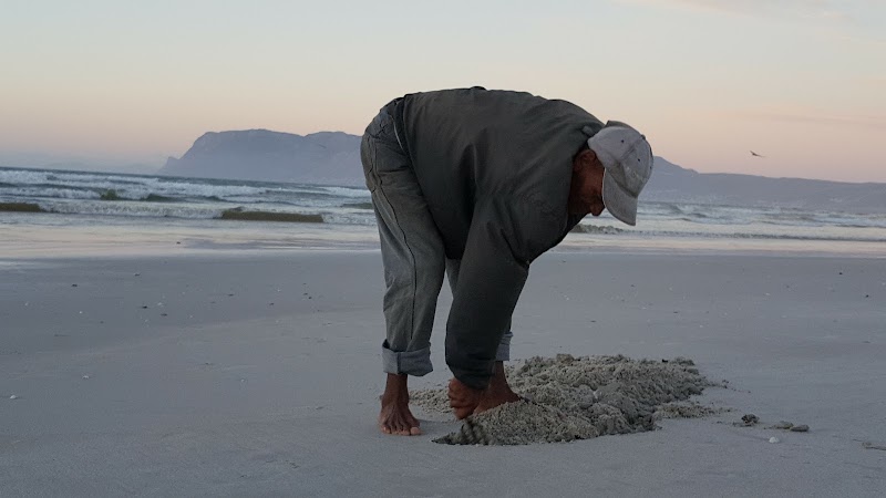 False Bay Surf Lifesaving Club - False Bay Surf Lifesaving Club, 3 Beach Rd, Muizenberg, Cape Town, 7950, South Africa