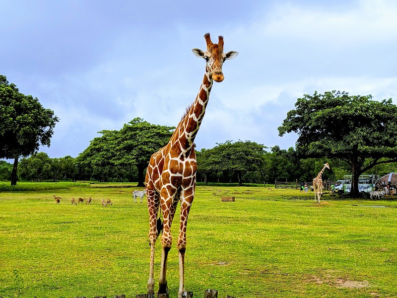 Calauit Island National Park